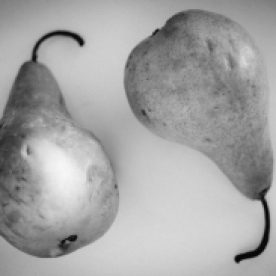 Pears (7 of 12)